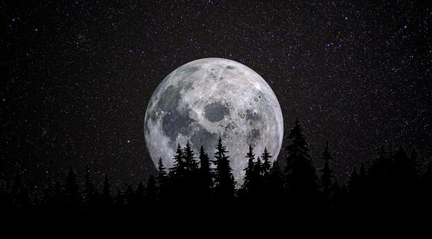 The Moon Night Photography Stars Wallpaper