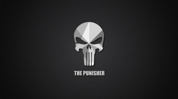The Punisher Material Logo Wallpaper 1280x800 Resolution