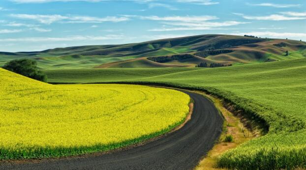 The Road and Green Field Wallpaper 2560x1440 Resolution