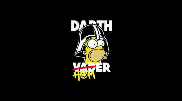 The Simpsons Homer Wallpaper 480x484 Resolution
