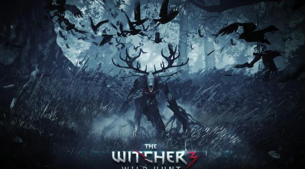 the witcher 3 wild hunt, final part, pc Wallpaper 1280x2120 Resolution
