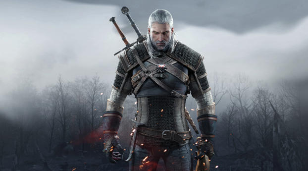The Witcher Wallpaper 320x240 Resolution