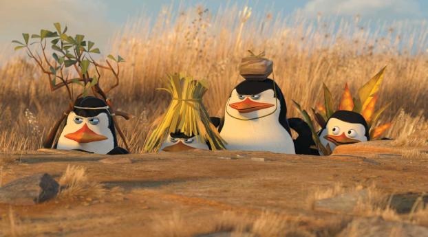 This Penguins Of Madagascar Hilarious Wallpapers Wallpaper 1080x2300 Resolution