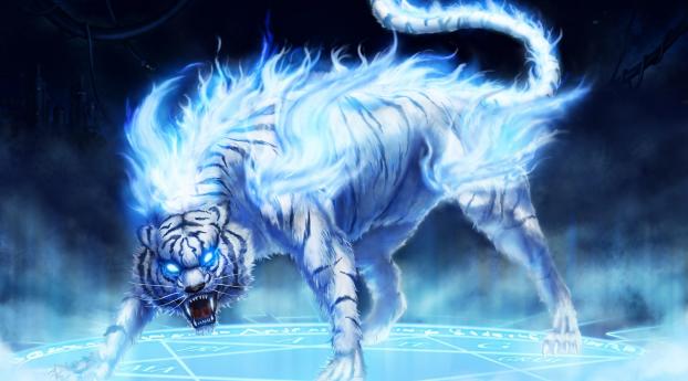 tiger, fire, rage Wallpaper 1280x2120 Resolution