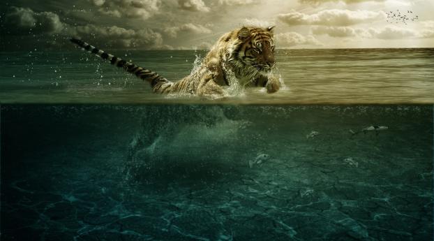 tiger, jump, sea Wallpaper 360x640 Resolution
