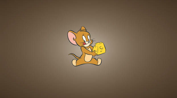 tom and jerry, cheese, mouse Wallpaper