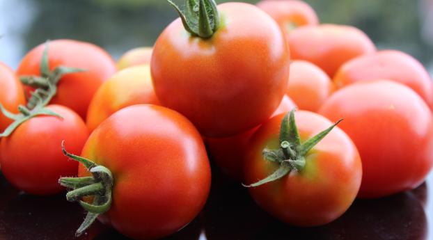 tomato, vegetable, ripe Wallpaper 3840x2160 Resolution