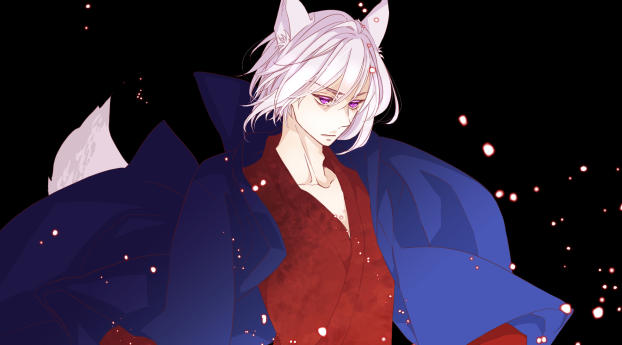 tomoe, kamisama hajimemashita, fox-demon Wallpaper 640x1136 Resolution