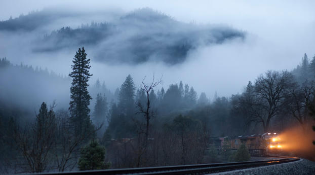 train, fog, railroad Wallpaper 640x1136 Resolution