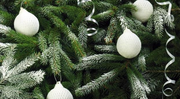 tree, needles, christmas decorations Wallpaper 1080x2310 Resolution