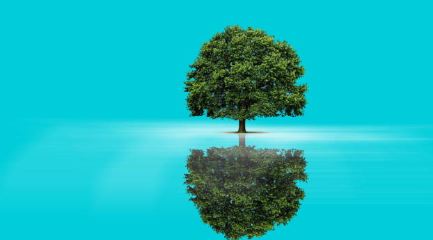 tree, reflection, background Wallpaper 1242x2688 Resolution