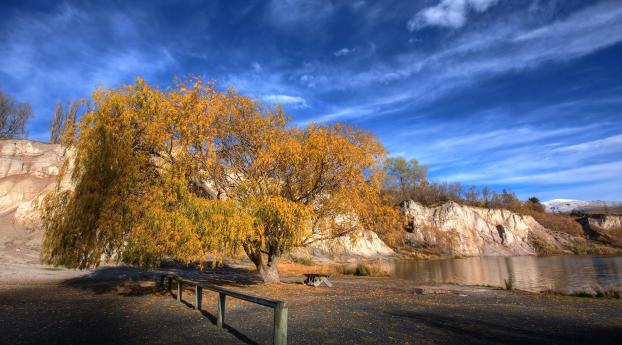tree, river, autumn Wallpaper 2560x1600 Resolution