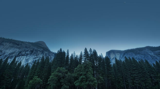 trees, forest, mountains Wallpaper 2560x1600 Resolution