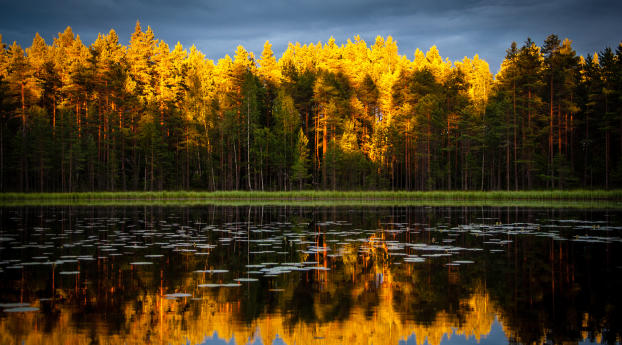 trees, lake, autumn Wallpaper 1366x768 Resolution