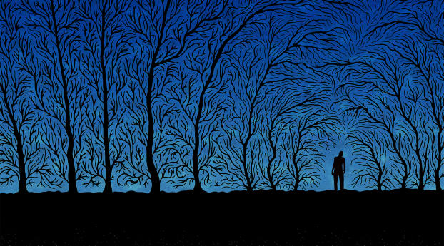 trees, people, shadow Wallpaper