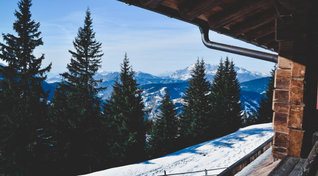 trees, winter, mountains Wallpaper 360x640 Resolution