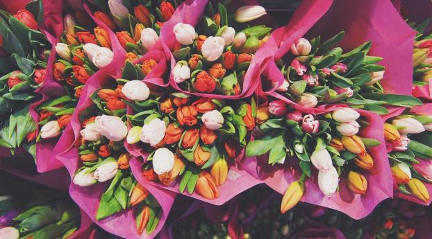 tulips, flowers, bouquets Wallpaper