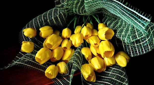 tulips, flowers, yellow Wallpaper 2048x1152 Resolution