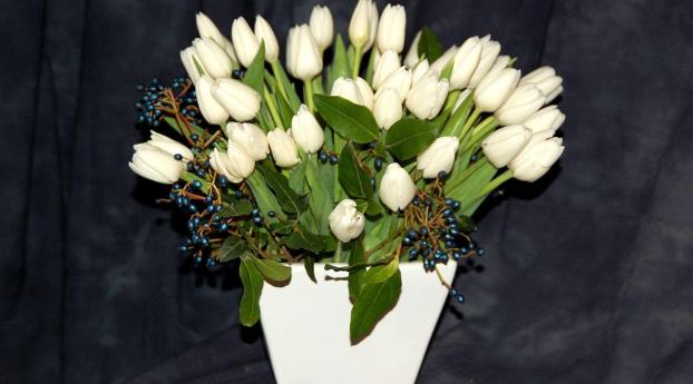 tulips, white, flowers Wallpaper