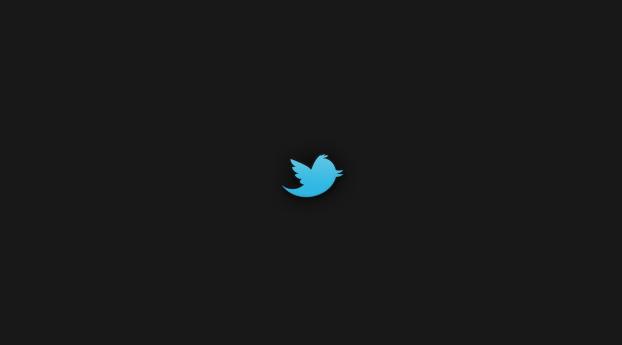 twitter, bird, social network Wallpaper 540x960 Resolution