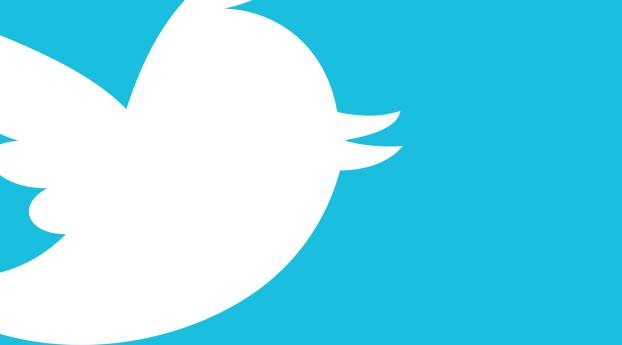 twitter, logo, bird Wallpaper 2048x2048 Resolution