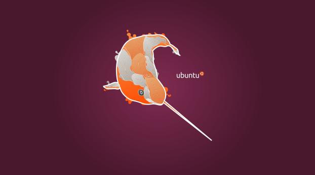 ubuntu, linux, os Wallpaper 1920x2160 Resolution