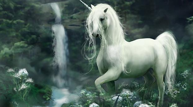 unicorn, being, falls Wallpaper 1280x2120 Resolution