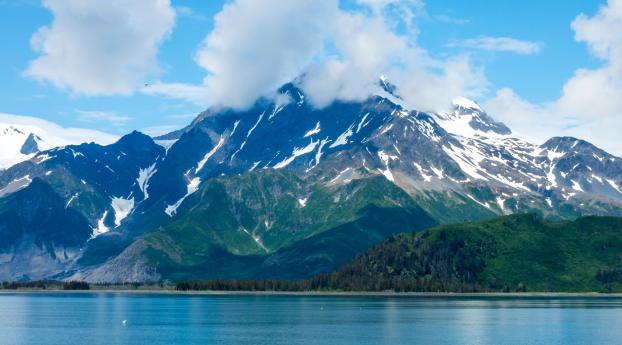 usa, kenai fjords, alaska Wallpaper 2560x1600 Resolution