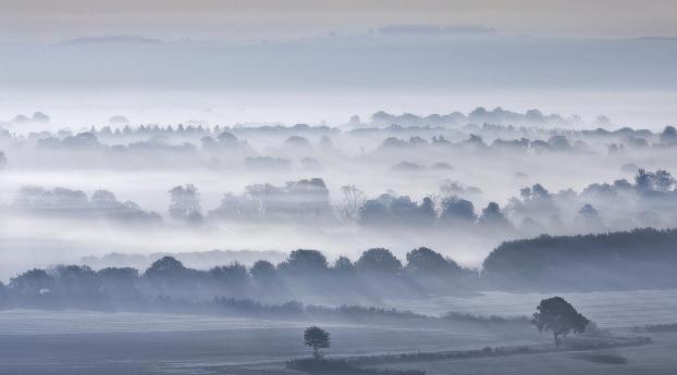 valley, fog, trees Wallpaper 2560x1080 Resolution