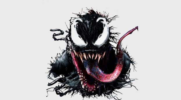 Venom 2018 Movie IMAX Poster Wallpaper 2560x1600 Resolution