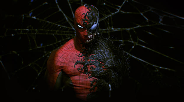 Venom taking Over Spider Man Wallpaper 320x320 Resolution