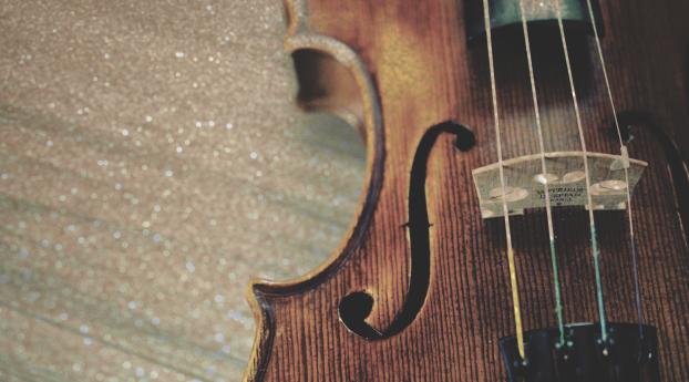 violin, strings, wooden Wallpaper 3840x3840 Resolution