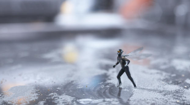 Wasp In Ant Man And The Wasp Movie 2018 Wallpaper 320x240 Resolution