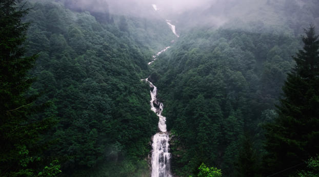 waterfall, trees, fog Wallpaper 480x854 Resolution