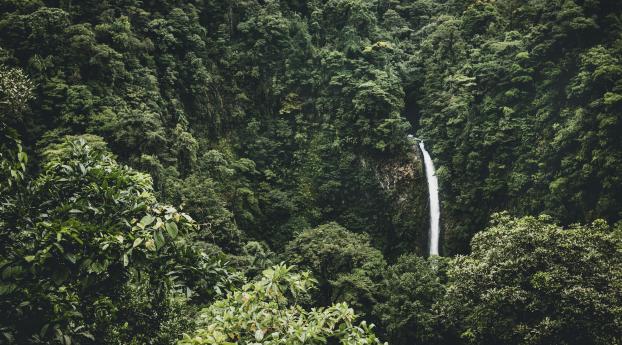 waterfall, trees, top view Wallpaper 640x1136 Resolution