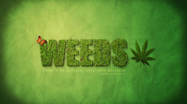 weeds, mary-louise parker, hunter parrish Wallpaper 1360x768 Resolution