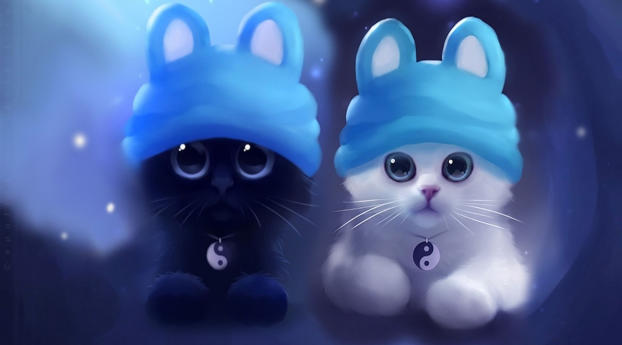 240x400 White Black Cute Kittens Acer E100,Huawei,Galaxy S Duos,LG 8575 Android  Wallpaper, HD Animals 4K Wallpapers, Images, Photos and Background -  Wallpapers Den