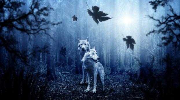 White Wolf In Forest Wallpaper