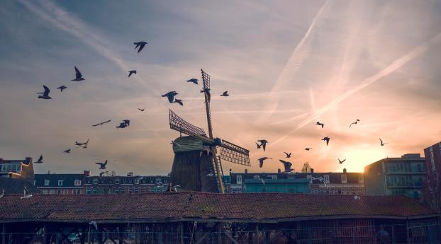 windmill, birds, buildings Wallpaper 1080x1920 Resolution