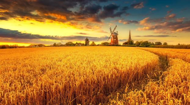 Windmill on Wheat Field at Sunset Wallpaper 1440x3200 Resolution
