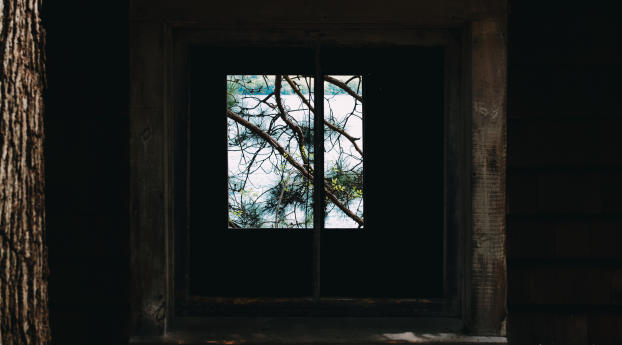 window, branches, wooden Wallpaper