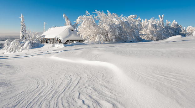 winter, building, snow Wallpaper 720x1280 Resolution