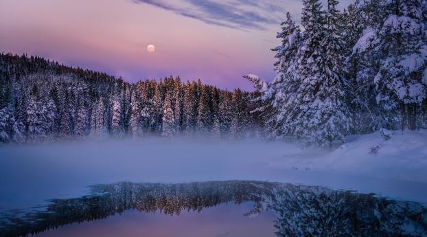 Winter Fog, Snow, Trees And Lake Wallpaper 1336x768 Resolution