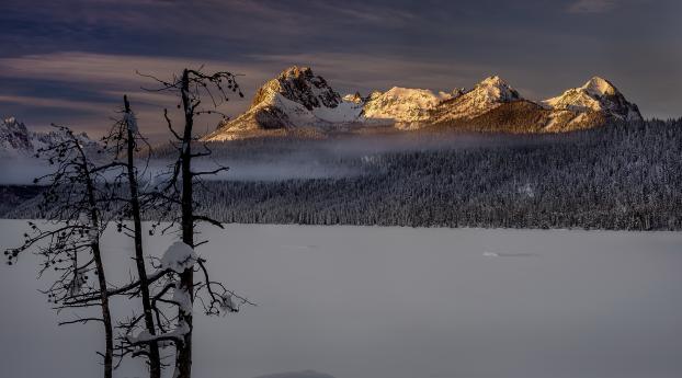 Winter Forest Landscape Nature Snow Wallpaper 720x1280 Resolution