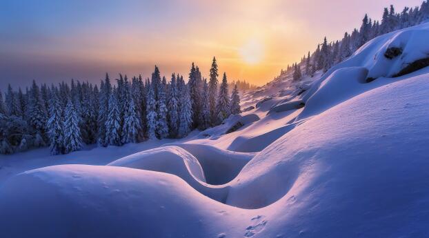 Winter HD Sunrise Photography 2023 Wallpaper 1100x1080 Resolution