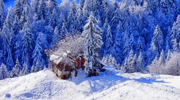 winter, house, hill Wallpaper 2880x1800 Resolution