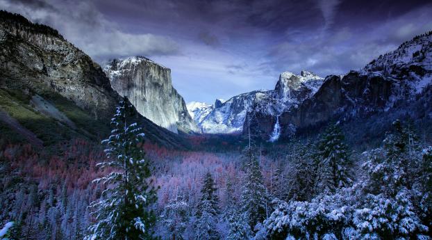 Winter Mountains And Trees Wallpaper 1080x2280 Resolution
