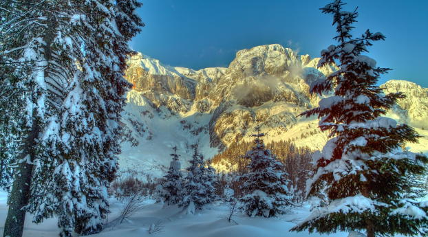 winter, mountains, austria Wallpaper 2560x1440 Resolution