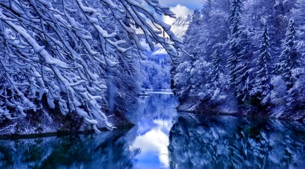 winter, river, trees Wallpaper 3840x2160 Resolution