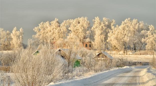 winter, road, snow Wallpaper 2560x1600 Resolution